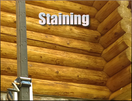  Beaufort County,  South Carolina Log Home Staining